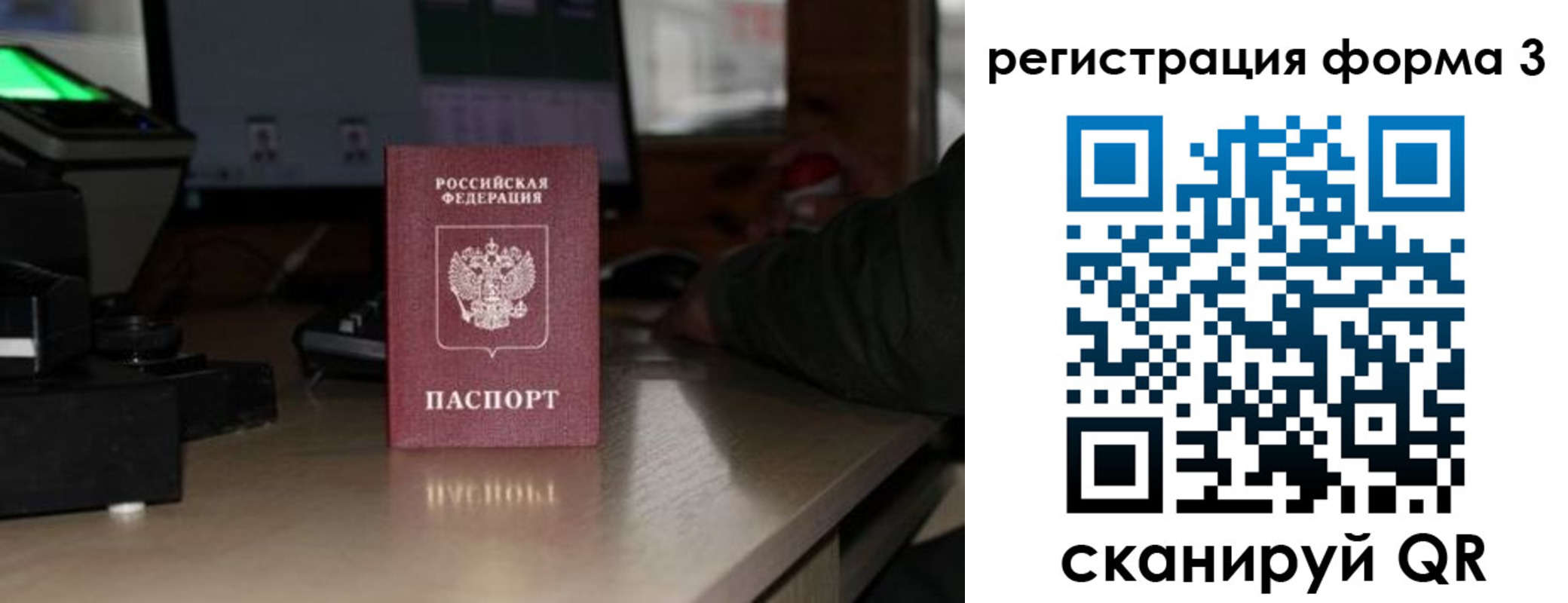 прописка для школы в Димитровграде