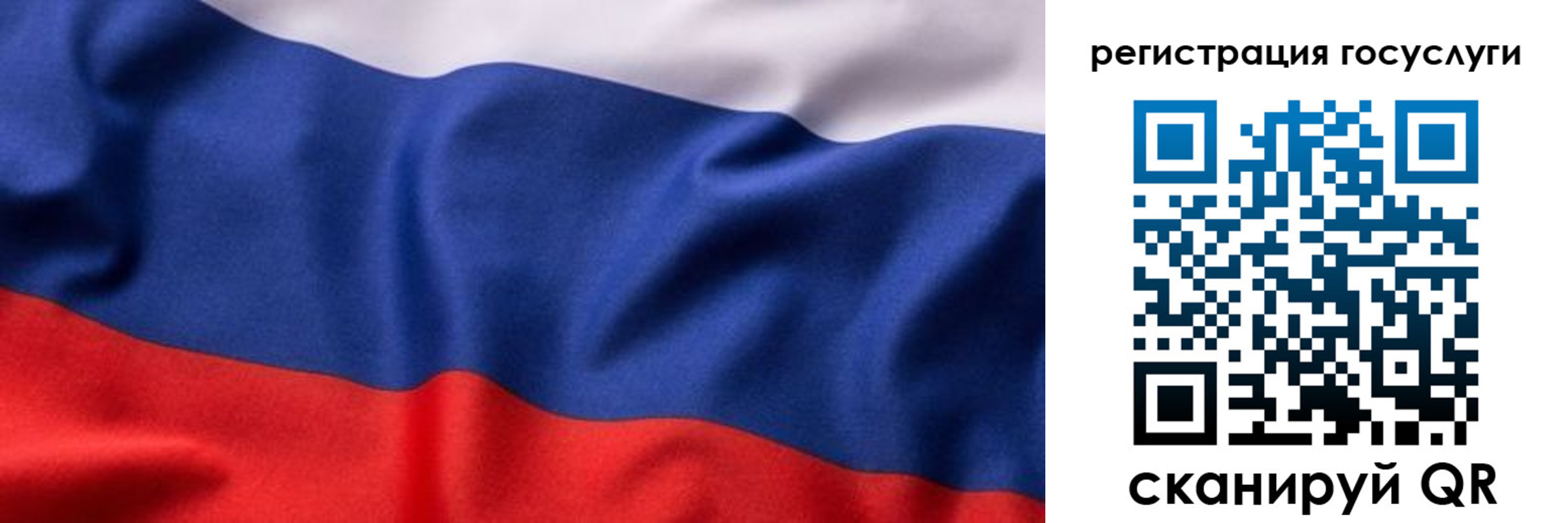прописка для школы в Димитровграде